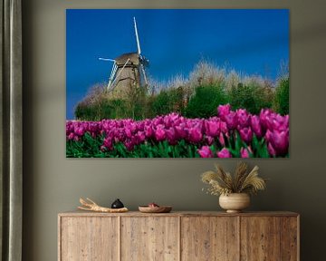 Windmolen met tulpen van vincentdevriesfoto.nl