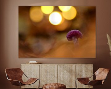 Hele mooie paddenstoel met mooie bokeh van Arthur Wisse