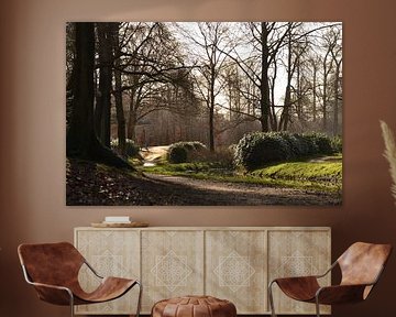 Mooi landschap beeld met tegenlicht