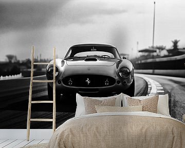 Ferrari 250 GT: een testament van onverzettelijke elegantie