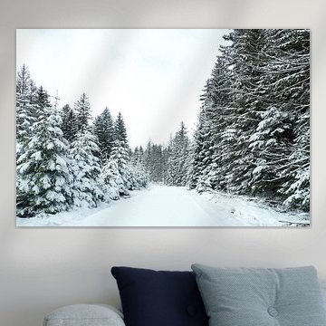 Snow landscape