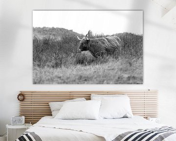Schotse hooglander in de duinen zwart wit van vincentdevriesfoto.nl
