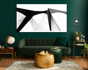Abstract zwart wit van Franka Poulain
