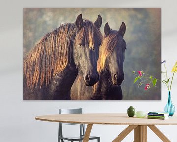 two of a kind... Friesian horses... by Els Fonteine