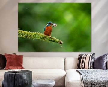 Ijsvogel met prooi van Björn van den Berg