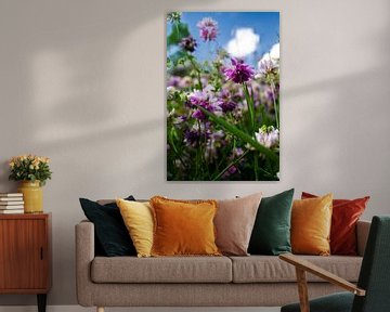 Wild blühende Frühlingsblumen | Stillleben Naturfotografie