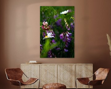 Wild blühende Frühlingsblumen | Stillleben Naturfotografie