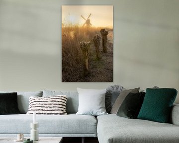 Klassiek Hollands winterlandschap met wilgen en een molen van Bas Meelker