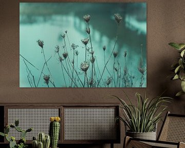 Oude Bloemen