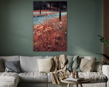 Infrarood Bloemen