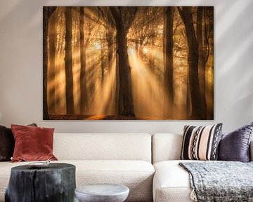 Zonneharpen schijnen door de bomen op een mooie ochtend