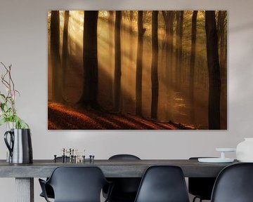 Zonneharpen schijnen door de bomen op een mooie ochtend