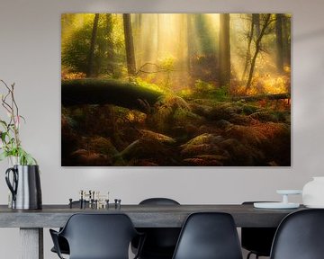 Een prachtige mystieke ochtend in het Nationaal park Veluwezoom  van Bas Meelker
