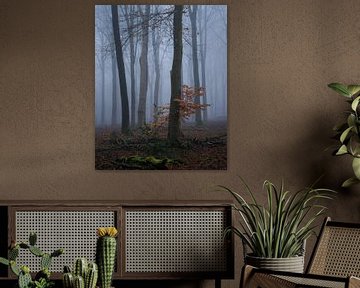Buche in einem winterlichen und nebligen Wald
