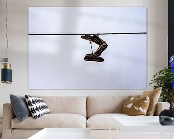 Oude sportschoenen op een hoogspanningslijn in de lucht Levenskunst van Animaflora PicsStock