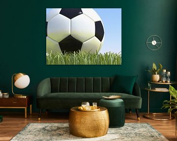 Soccer ball on grass