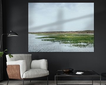 Water en land van Steven Goovaerts
