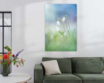 Sneeuwklokjes in groen en blauw van Patricia van Kuik