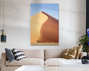 Dune 45 sur Fotografie Egmond