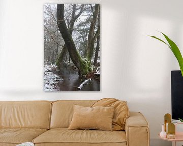 boom, mos en sneeuw van Angelique Raaijmakers