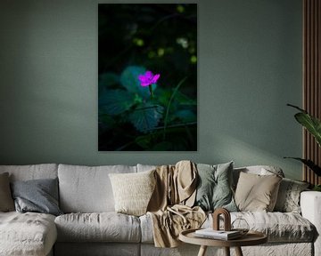 Wilde, einsame Blume | Stillleben Naturfotografie