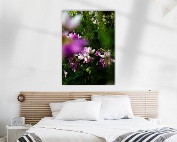 Wildnis der Blumen | Stillleben Naturfotografie