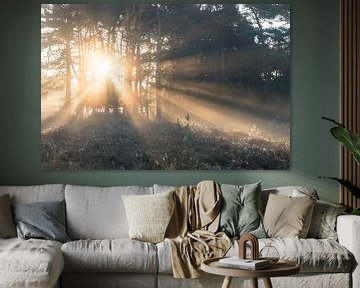 rays of light sur Matthijs Dijk