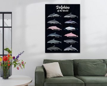 Verschiedene Delfinarten aus aller Welt von Pixelbull Design