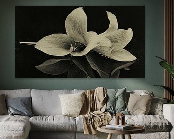 stilleven met Narcissen van Franka Poulain