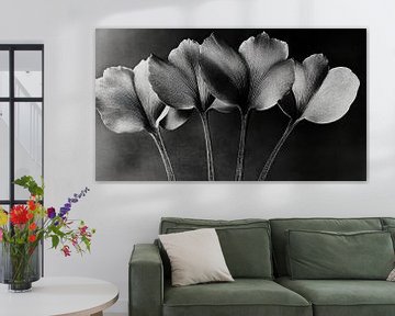Zilveren tulpen van Franka Poulain