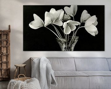 Tulpen in vaas van Franka Poulain