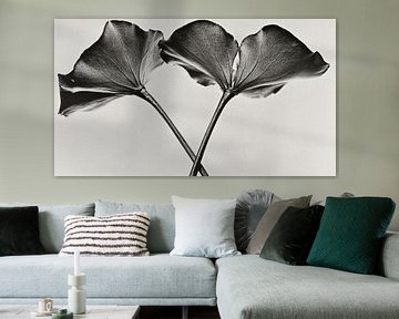 Etherische Bloemen in zwart wit van Franka Poulain