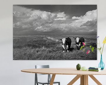 Cows on Groningen's salt marshes by Bo Scheeringa Photography
