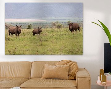 Rhinocéros en Afrique du Sud