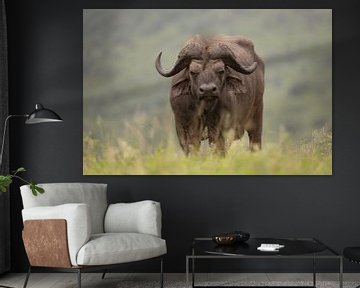 Buffel met ossenpikker van Milou Hinssen