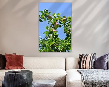 Appelboom van Matthias Spartz