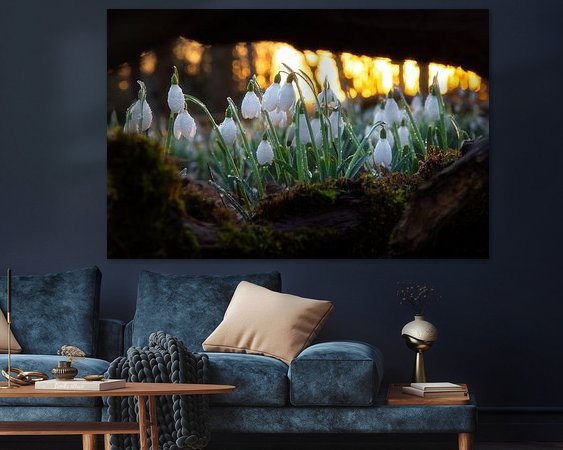 Aperçu de la chambre