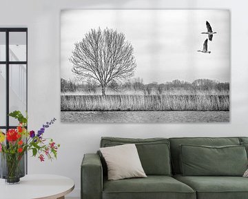 Wildgänse im Flug