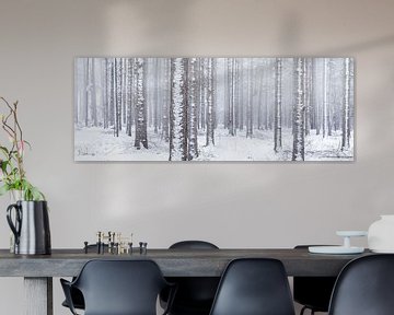 Witte wereld - Een winter landschap in de bossen van Bas Meelker