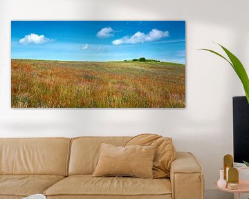Rügen - bunte Blumenwiese am Bakenberg im Mönchgut von Reiner Würz / RWFotoArt