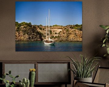 Zeilboot in een idylische baai van Ibiza van Raymond van Olphen