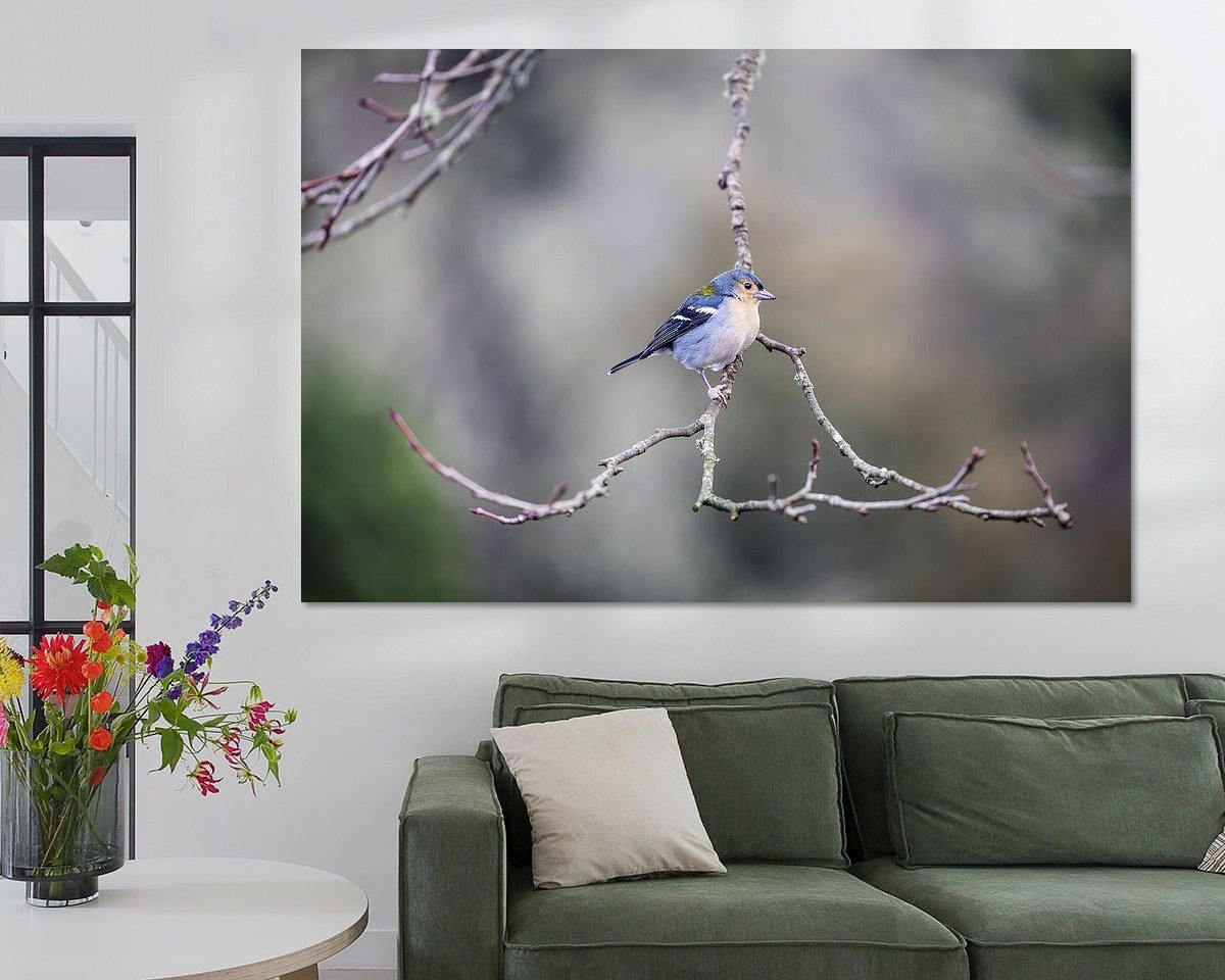 Raumvorschau