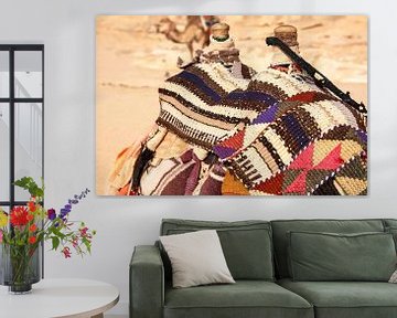 Kamele in Jordanien von Liesbeth Govers voor Santmedia.nl