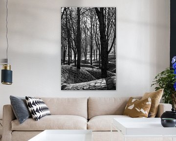 poetic winter forest in the city.