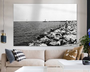 Vissen aan de franse kust van Raymond van Olphen