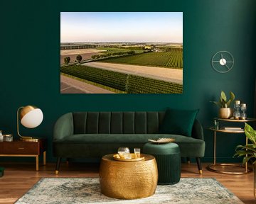 Nederlands landschap van Laura Vijverberg