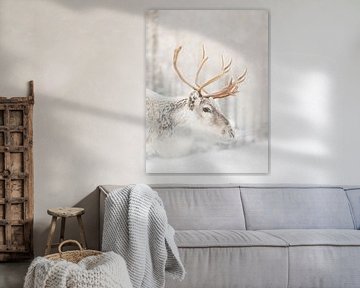Lapland Rendier van Dagmar Pels