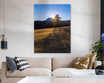 De laatste zonnestralen op de berg van Christina Bauer Photos