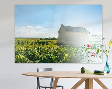 Fotoschets Franse schuur in wijngebied van Jeroen Berendse