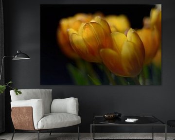 Tulpen op tafel